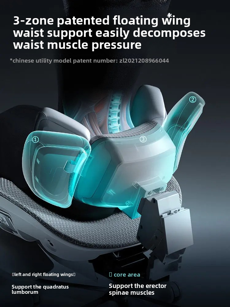 Ergonomic Chair,AI 3-Zone Lumb - Office Furniture Zone review and price