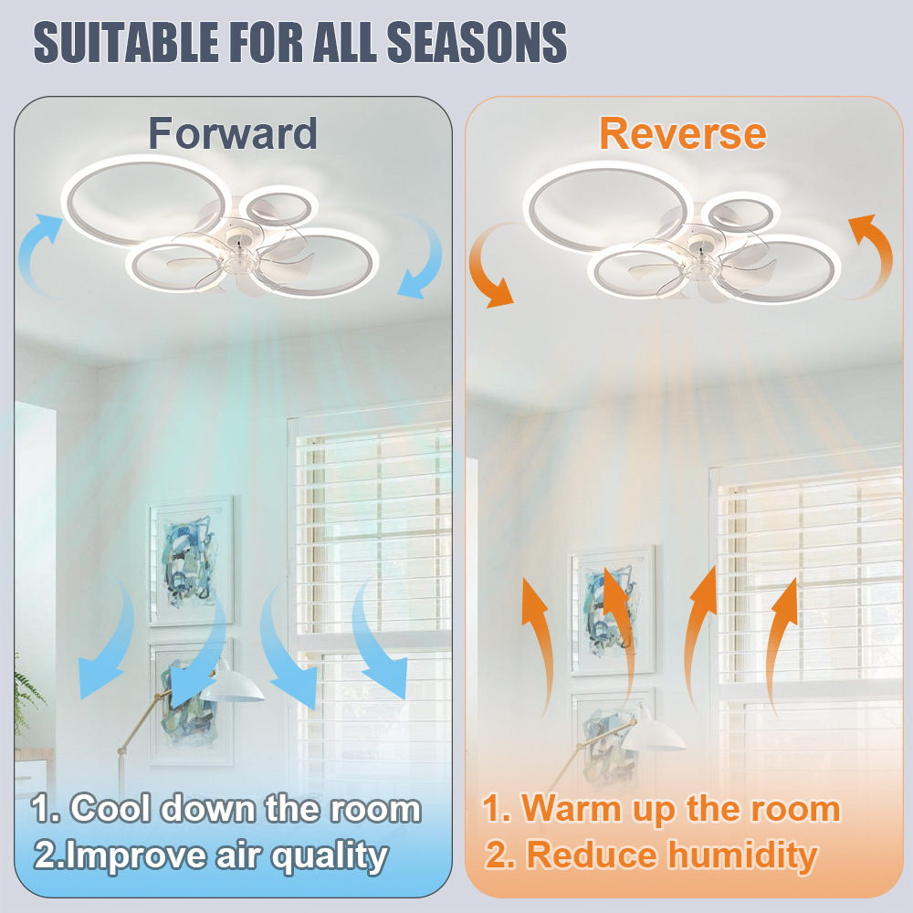 Four-ring ceiling fan light wi - Office Furniture Set review and price